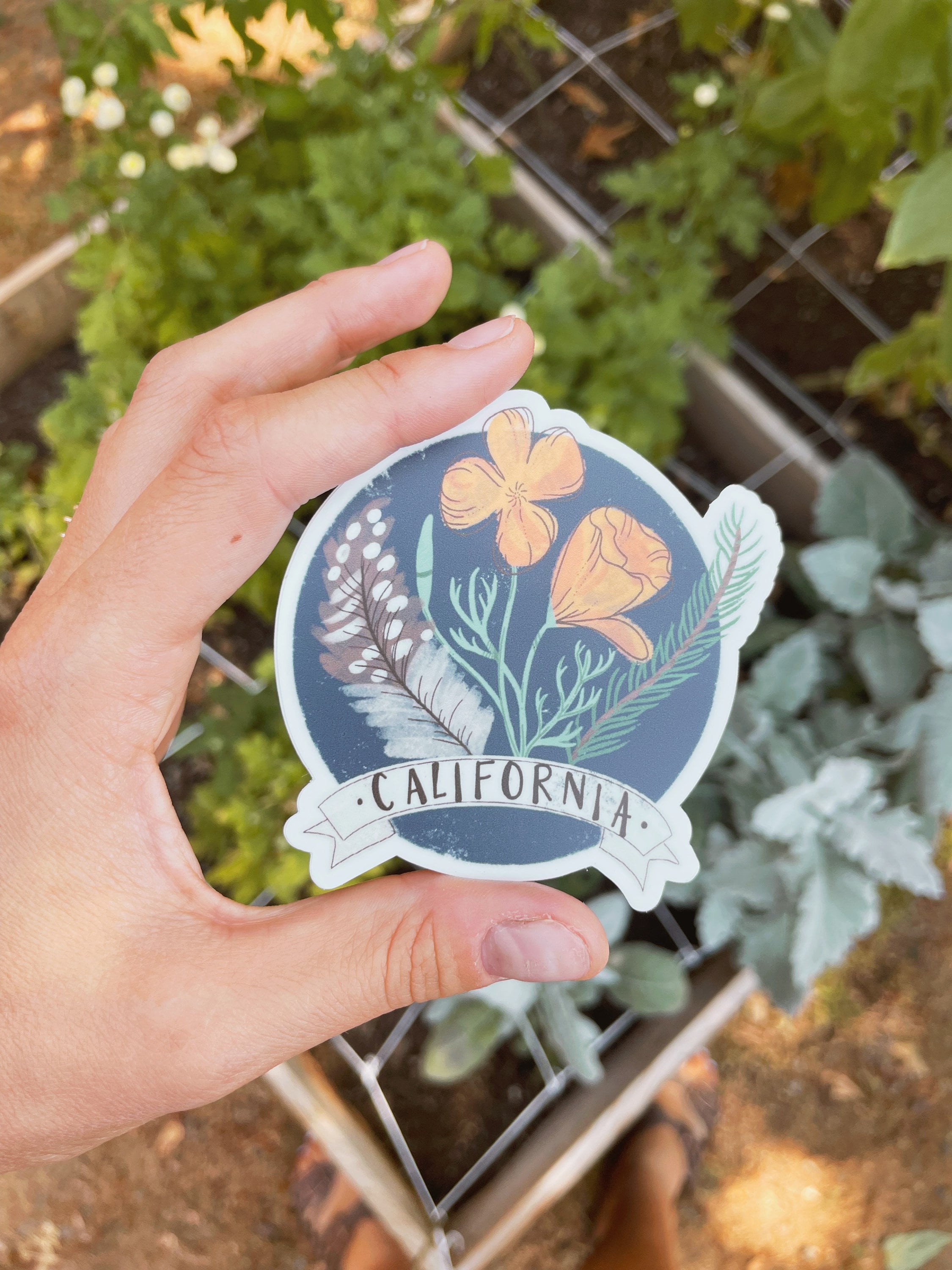 California Sticker Pack of 4 Stickers California Bear | Etsy
