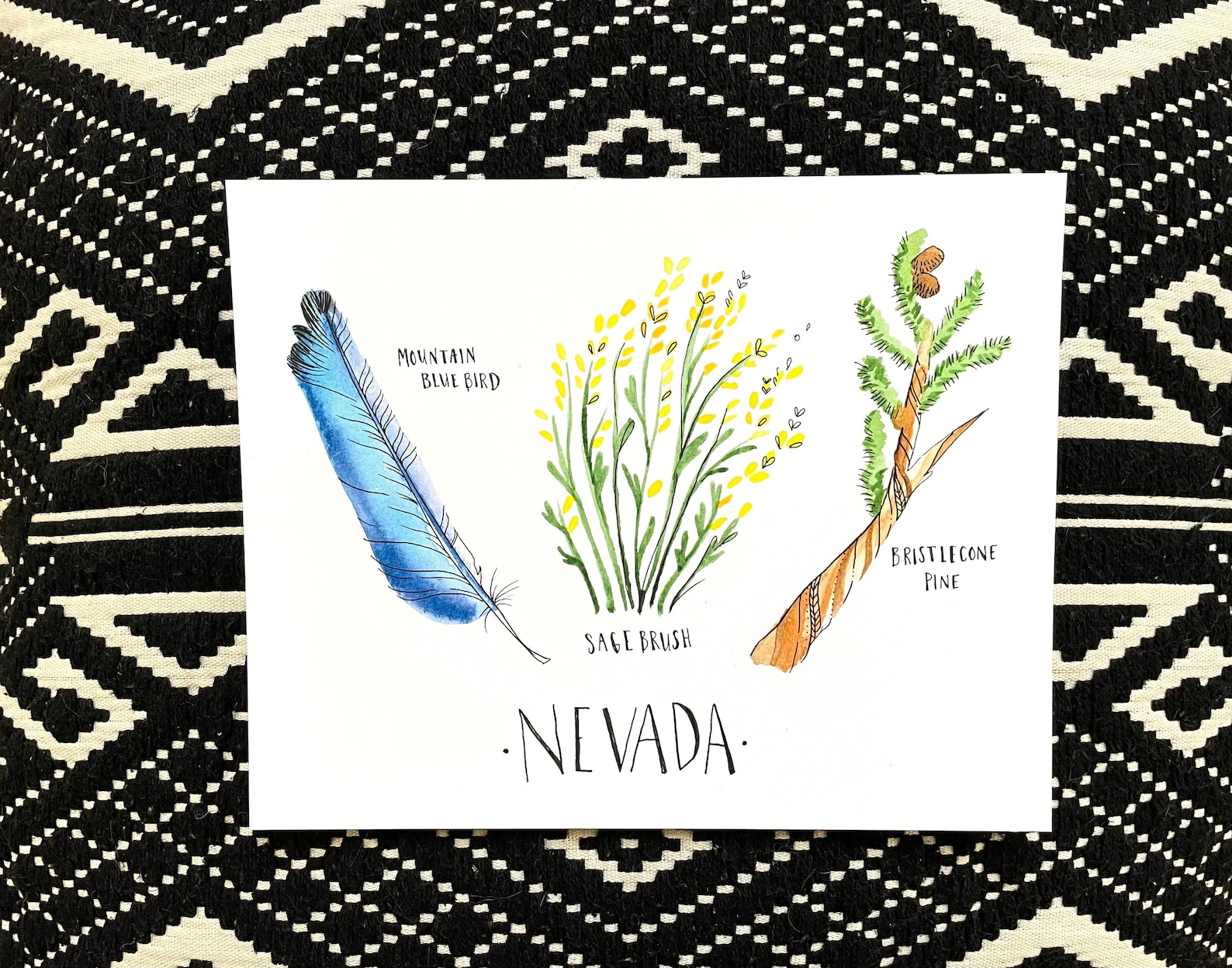 Nevada State Bird State Flower State Tree Watercolor Botanical - Etsy