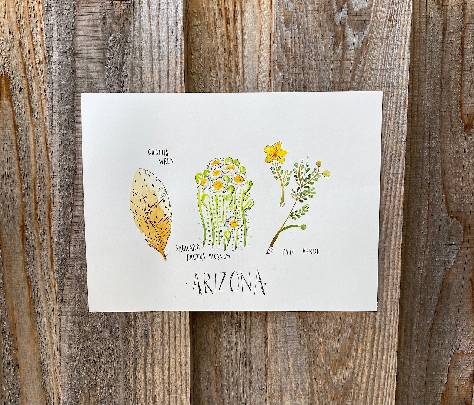 Arizona State Bird State Flower State Tree Art Print 8x10 - Etsy