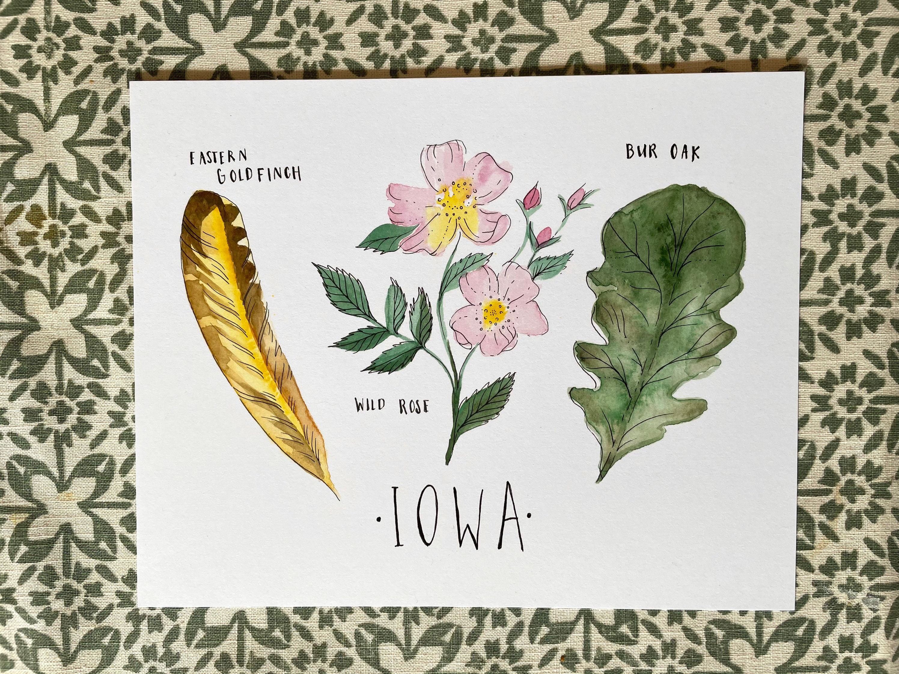 Iowa state bird state tree state flower wild rose burl oak | Etsy