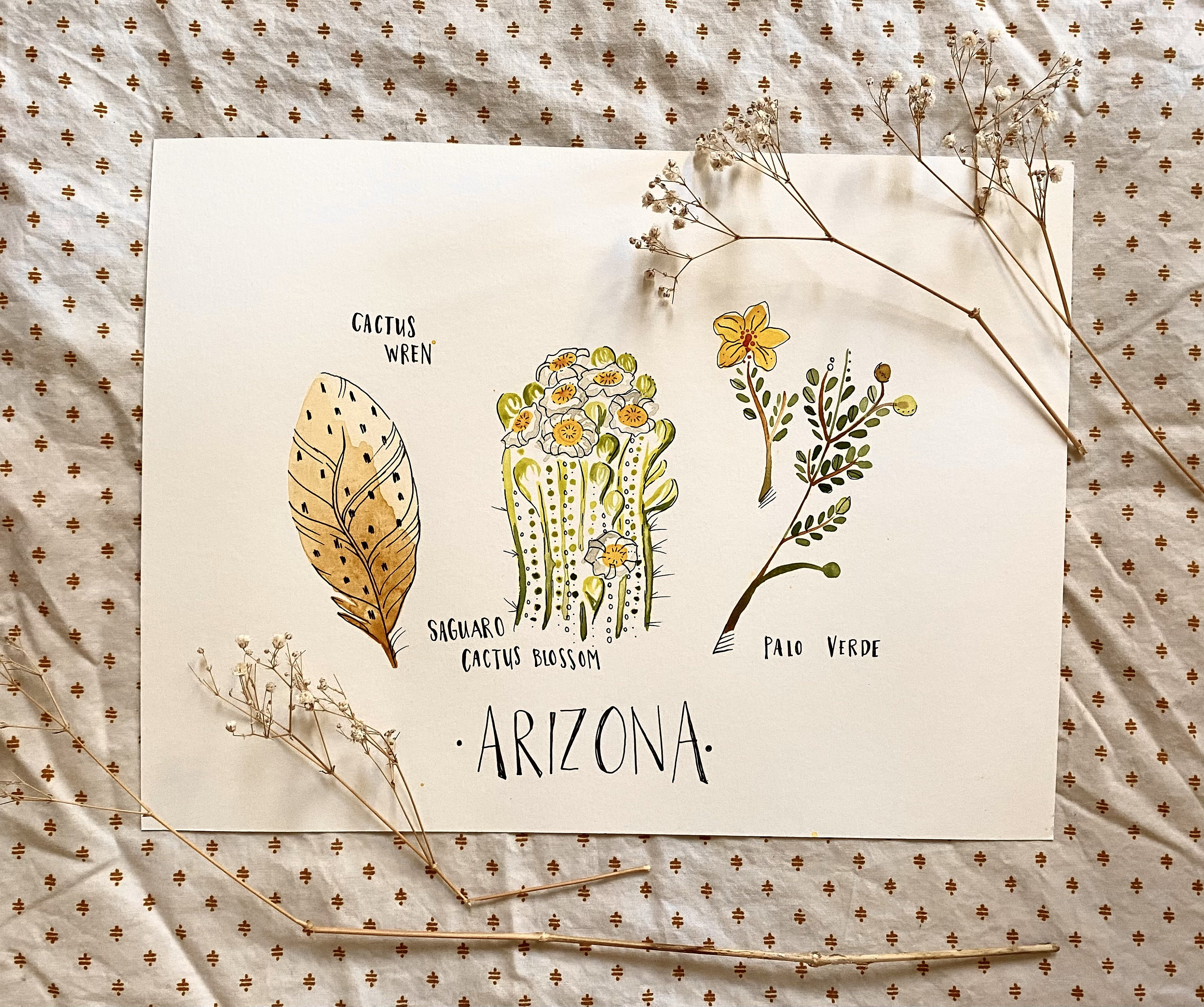 Arizona State Bird State Flower State Tree Art Print 8x10 Etsy