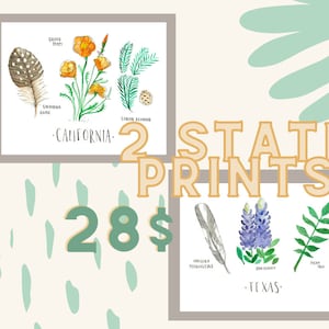 May include: Two watercolor prints featuring state-specific flora and fauna. The top print features California with a California Quail, a California Poppy, and a California Redwood. The bottom print features Texas with a Texas Bluebonnet, a Pecan Tree, and a Mourning Dove. The prints are available for $28.