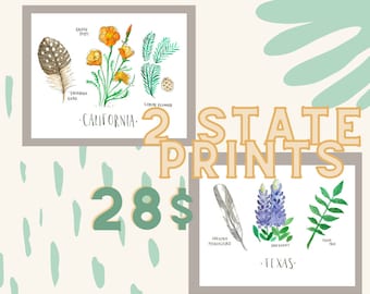 Choose any TWO state prints state bird state flower state tree art print United States of America wedding gift botanical watercolor
