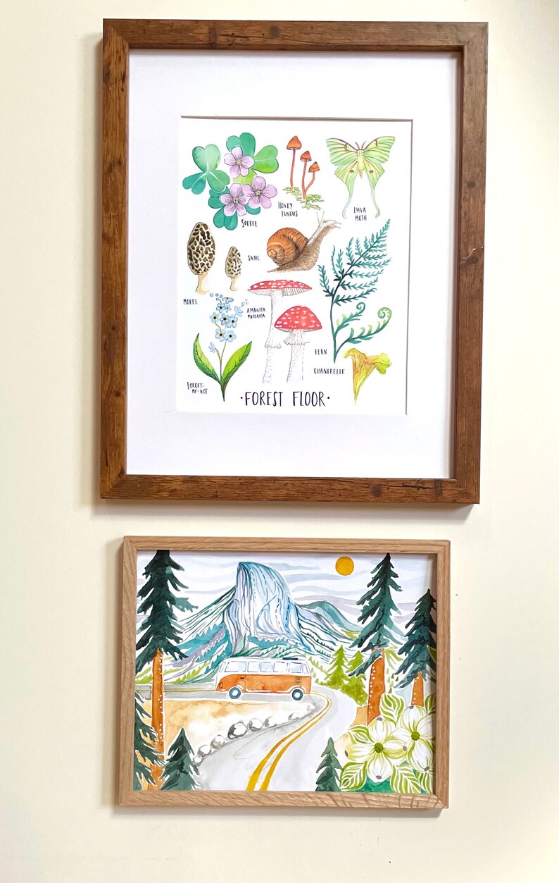 May include: Two framed illustrations. The top illustration is a watercolour painting of a forest floor with various plants, mushrooms, and a snail. The bottom illustration is a watercolour painting of a mountain scene with a vintage van driving on a road.