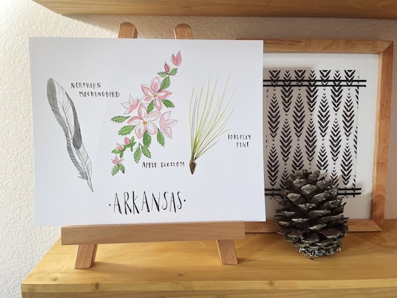 Arkansas State Flower State Bird State Tree Botanical | Etsy