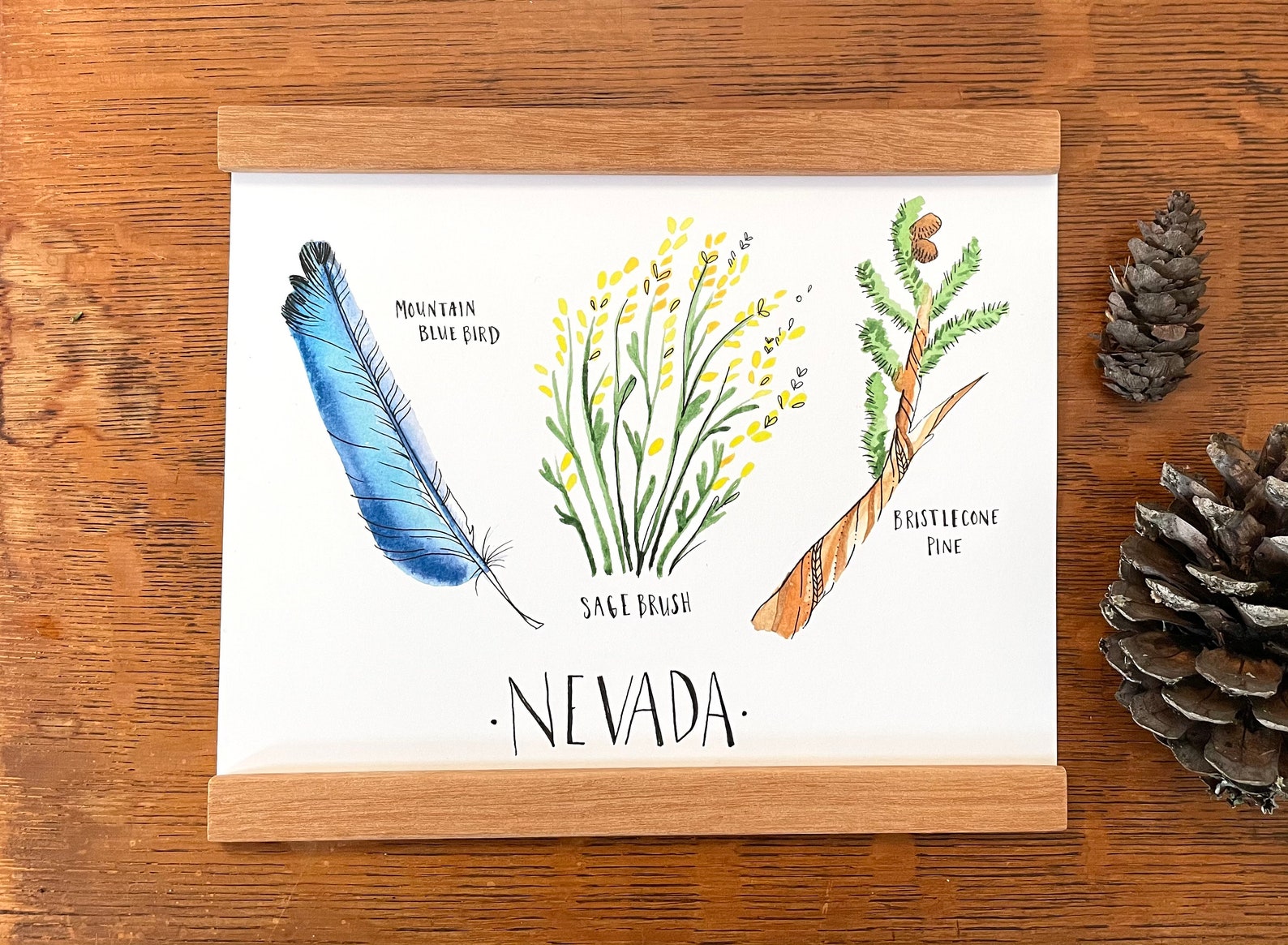 Nevada State Bird State Flower State Tree Watercolor Botanical - Etsy