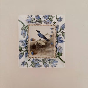Art Collection Fringe Decoration Studio Plates