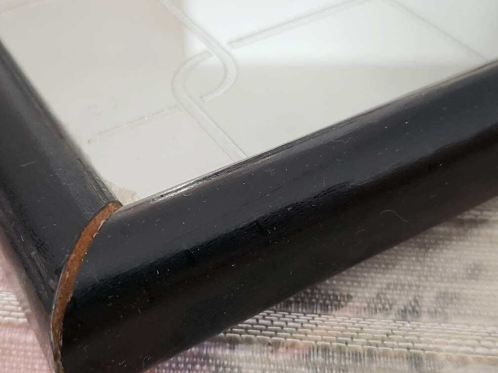 Vintage RED DOG Beer Mirror Bar Accessory Mirror Game Room Den Decor Protected by Red Dog