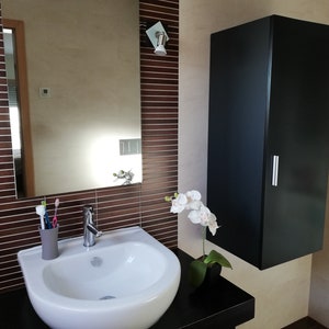 May include: A white porcelain bathroom sink with a chrome faucet, a toothbrush holder with toothbrushes, and a white orchid plant in a black pot. The sink is mounted on a black countertop with a black cabinet behind it.