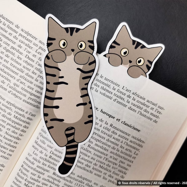 Brown tabby cat laminated bookmarks