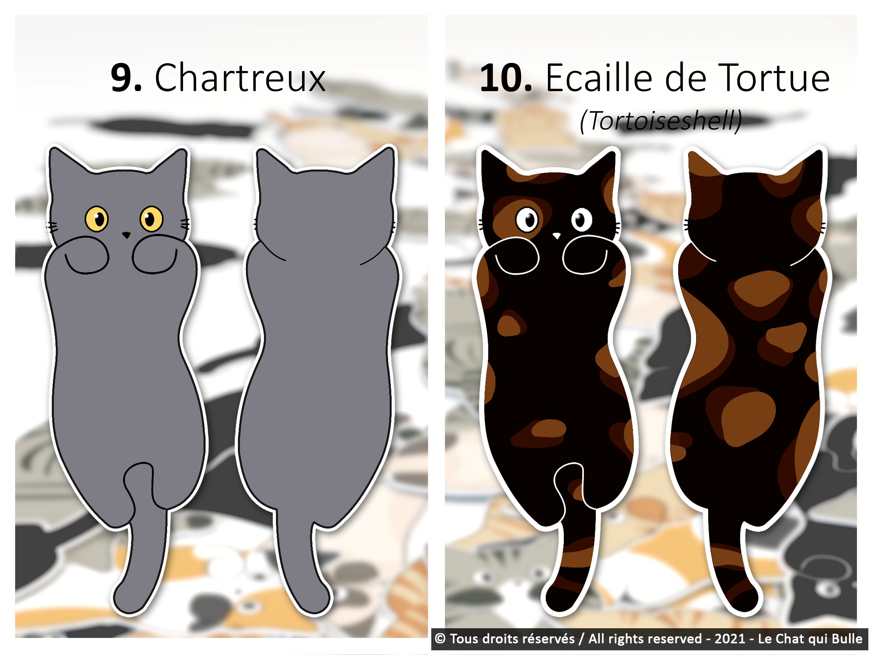 🐈 Marque-pages Chat Noir - La BoutiK du Chat