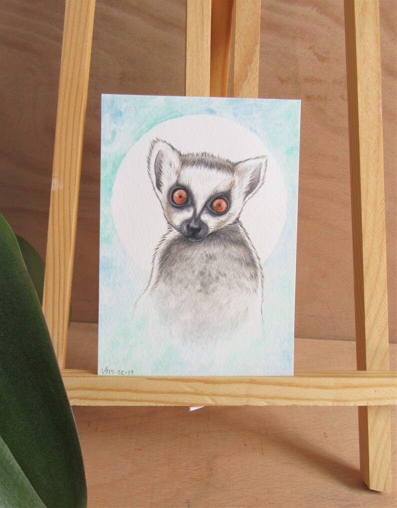 Ring tailed lemur Original Drawing Jungle wall decal