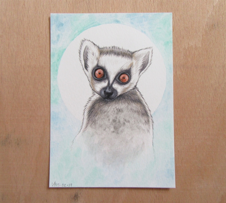 Ring tailed lemur Original Drawing Jungle wall decal