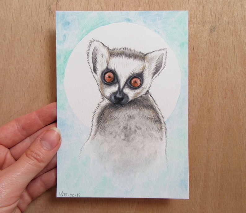 Ring tailed lemur Original Drawing Jungle wall decal