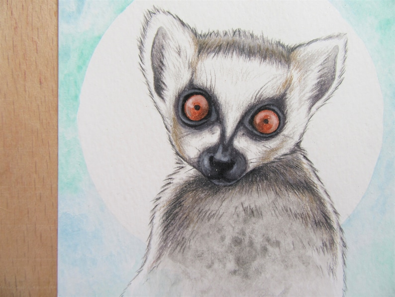 Ring tailed lemur Original Drawing Jungle wall decal