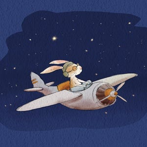Illustration de livre pour enfants, illustrateur à louer, illustration de couverture personnalisée, illustrateur de livre personnalisé