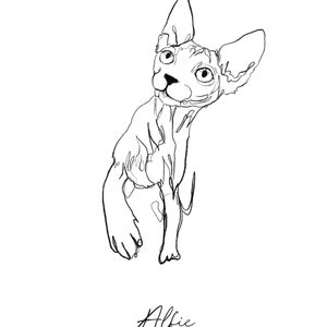 Custom Pet Line Art, Custom Cat Line Drawing Portrait - Etsy