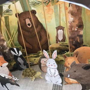 Può includere: Un diorama in carta a più strati che raffigura una scena boschiva con un orso bruno, un tasso, una volpe, un riccio, un coniglio bianco, una tartaruga, uno scoiattolo e un cinghiale. L'illustrazione usa colori tenui per gli animali.