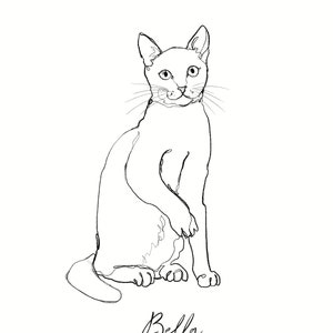 Custom Pet Line Art, Custom Cat Line Drawing Portrait - Etsy