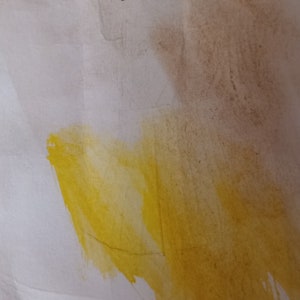 PÁGINA DE OROS, pintura original de la carta del tarot, firmada por el artista, acuarela y pluma y tinta