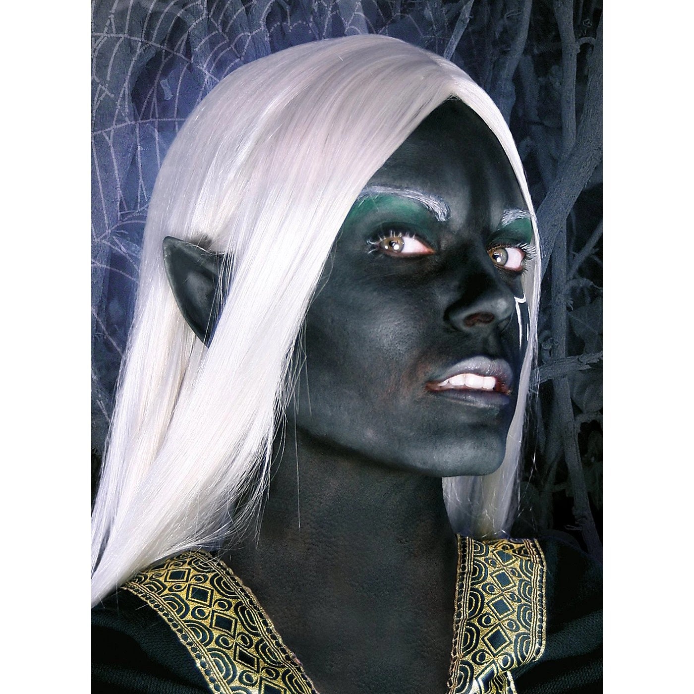 8+ Dark Elf Costume