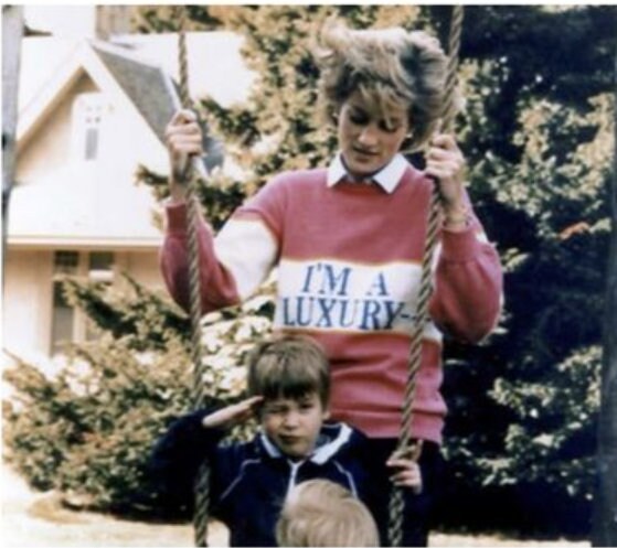 diana luxury sweater