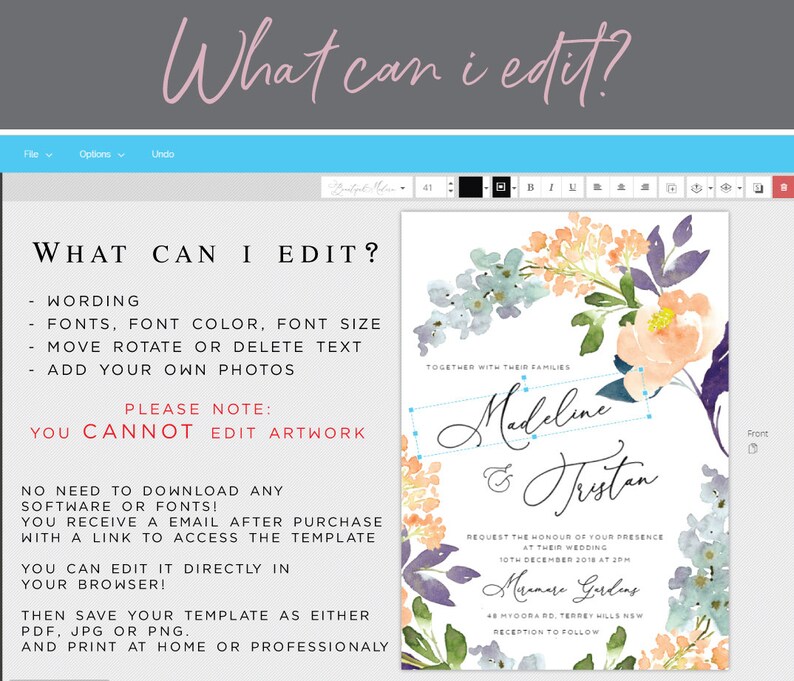 Edit /& Print Yourself Digital Air balloon Diaper Raffle Books for baby Animals Printable Baby Shower Invitation Template Set PDF DIY
