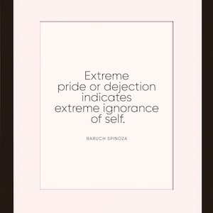 Ignorance Of Self Quote - Baruch Spinoza, literary poster / literary quotes / art print