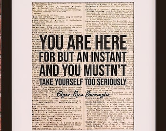 You Mustn't Take Yourself Too Seriously Quote - Edgar Rice Burroughs, literary poster / literary quotes / art print