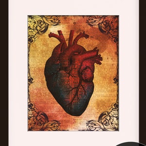 Cuore anatomico - Dizionario Arte / Stampa artistica / Arte vintage