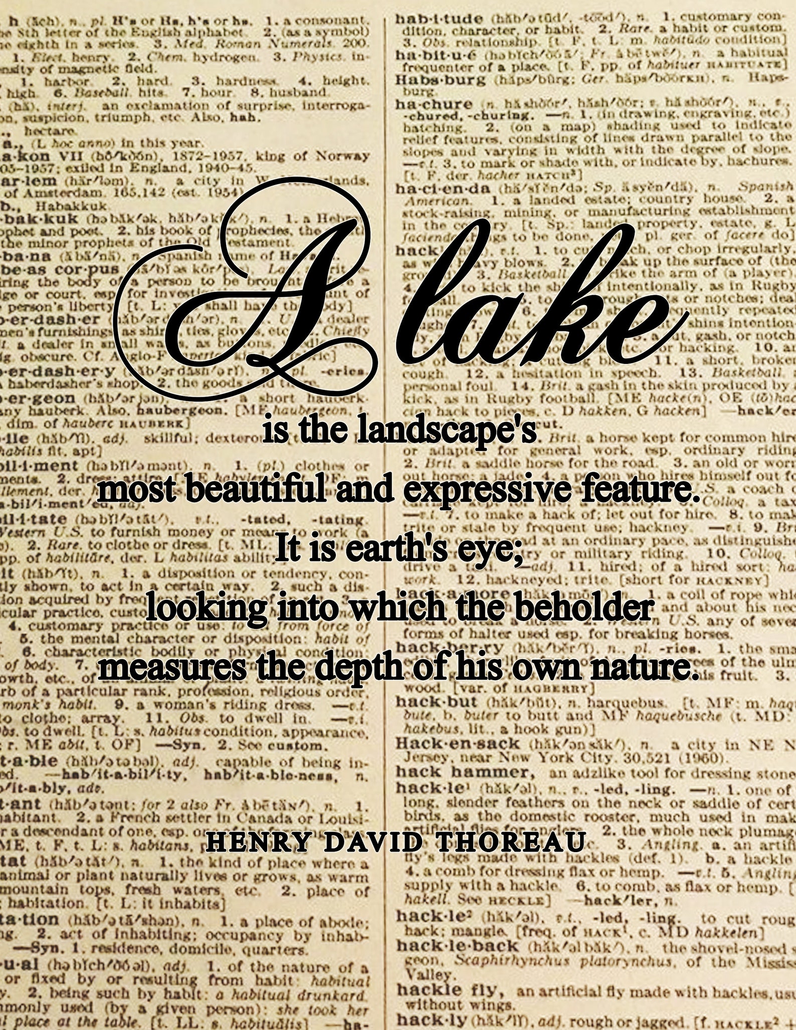 Een citaat van het meerHenry David Thoreau literaire Etsy