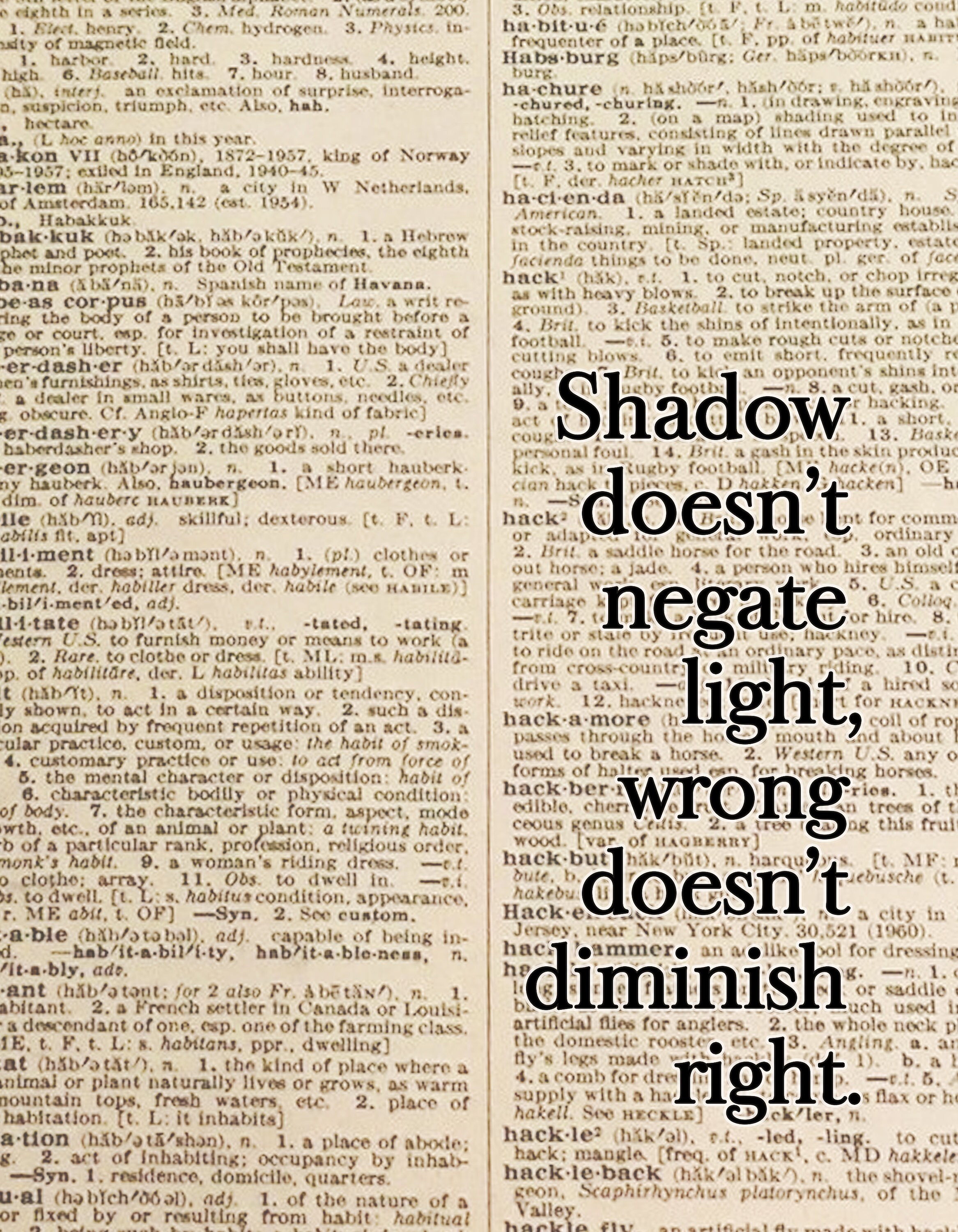 Shadow Doesn't Negate Light Dictionary Art / Poetry Etsy