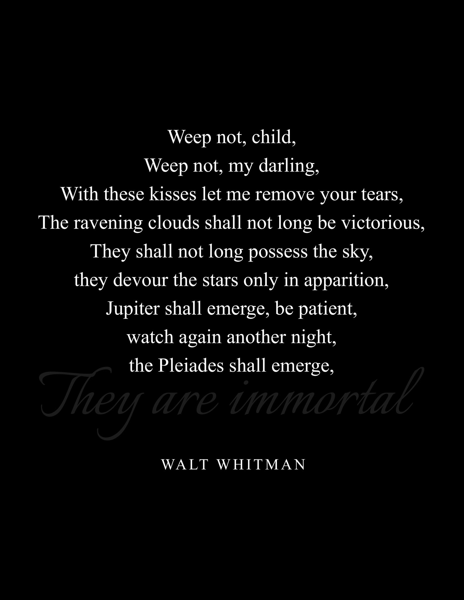 Weep Not Child Quote Walt Whitman literary poster / Etsy