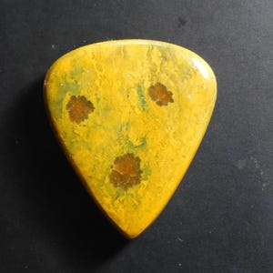 Op de afbeelding: Een gele gitaarplectrum met een groen en bruin marmerpatroon en drie bruine bloemvormige vormen.