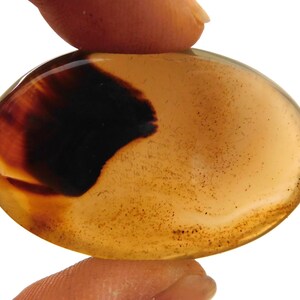 Puede incluir: Una gema ovalada y translúcida, con tonos ámbar y marrón oscuro. La superficie pulida revela un patrón único. La gema se sostiene entre los dedos sobre un fondo blanco. Una pieza única.