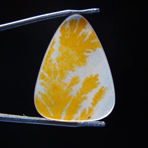 Shazar Dendrite Agate 4.80  cts AAA+++ Top Natural Shazar Dendrite Gemstone  Triangle shape Gemstone Natural  gemstone Free Shipping