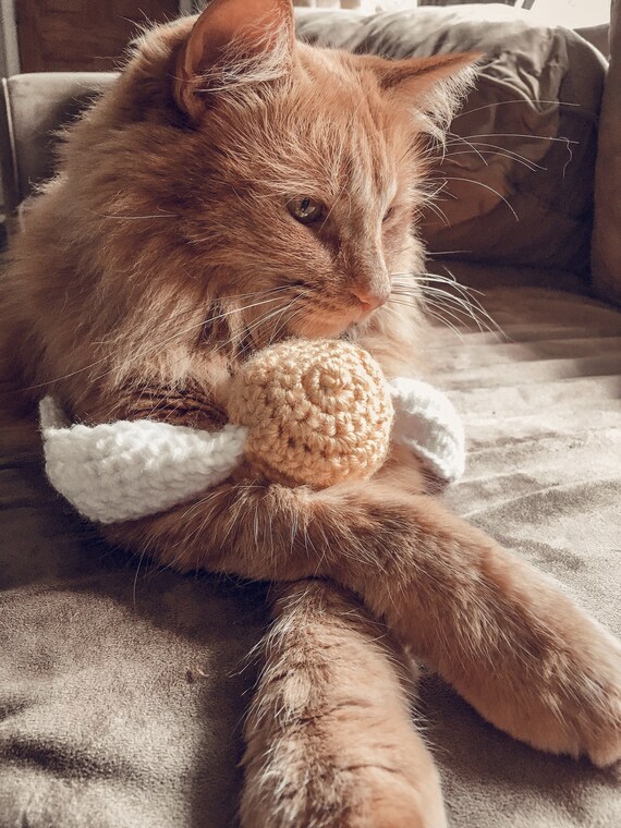 Harry potter cat toys online