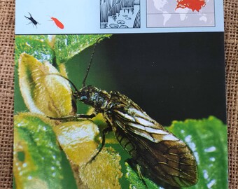 1975 editions rencontre s a lausanne