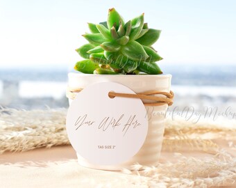 Download Succulent Mockup Etsy