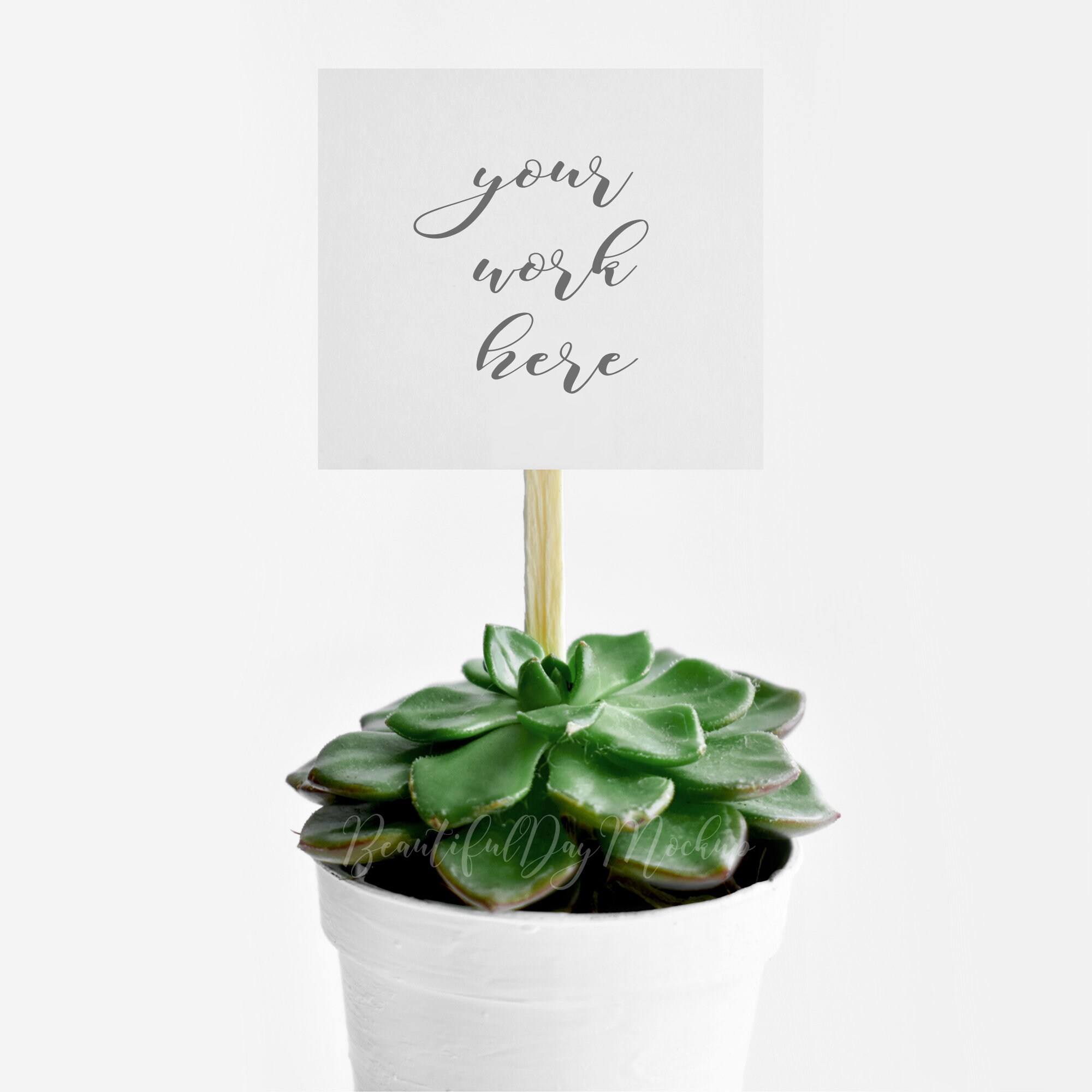 Download Mockup Wedding Stationery Mockupmockup Succulents Psd File Etsy