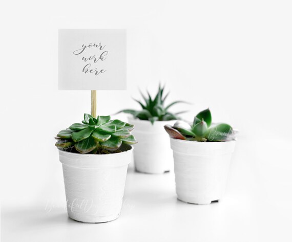 Download Mockup Wedding Stationery Mockupmockup Succulents Psd File Etsy