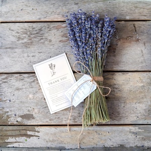 Lavender, Lavender Bunch, Dried Lavender Bundle, Dried Flowers, over 300 Stems, 2023 certified organic, Lavender Gifts, Bridal Bouquet