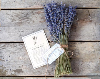 Lavender, Lavender Bunch, Dried Lavender Bundle, Dried Flowers, over 300 Stems, 2023 certified organic, Lavender Gifts, Bridal Bouquet