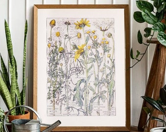 Chamomile Botanical Print, Botanical Wall Art, Flower Art, Vintage Posters, Cottagecore Decor, Bedroom Wall Art, Floral Design Download