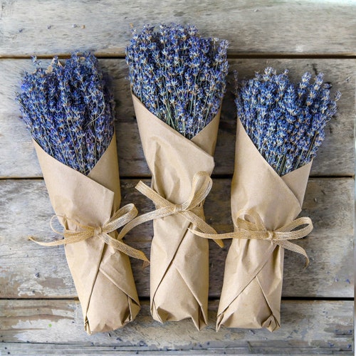 Lavender Bunch, Dried Lavender Bundle, dry flower bunch, over 300 Stems, 2024 certified organic, dried lavender for bouquets,