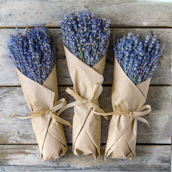 Dried Lavender Bunch – 300 Stems Dried Lavender Flowers | Farm-Grown Lavender Decor, Wedding & Housewarming Gift for Her, Mother’s Day Gift