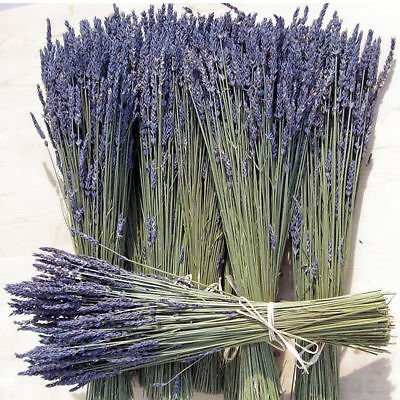 Lavender Bunch, Dried Lavender Bundle, Dry Flower Bunch, Over 300