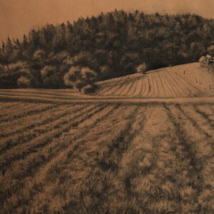 The Ole&#39; Cody Farm #3