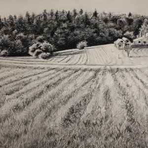 PRINT: The Ole Cody Farm #1.