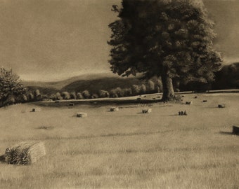 Original Drawing: Haying at Windy Acres